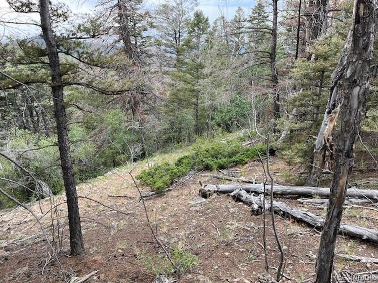 6184 Ryland Road San Luis, CO 81152 - Photo 12 of 32 a view of outdoor space and yard