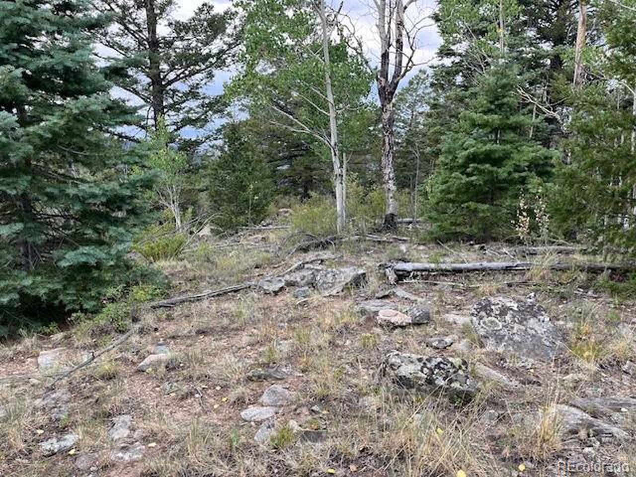 6184 Ryland Road San Luis, CO 81152 - Photo 16 of 32 a view of a dry yard with trees
