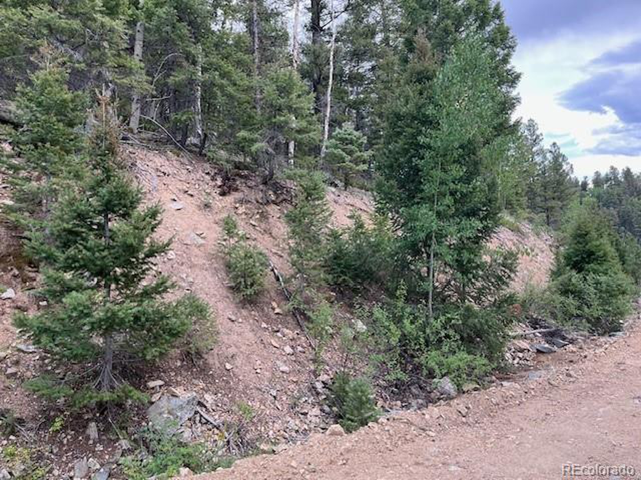 6184 Ryland Road San Luis, CO 81152 - Photo 2 of 32 a view of a forest with trees