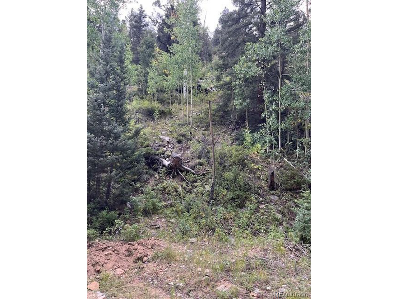 6184 Ryland Road San Luis, CO 81152 - Photo 32 of 32 a view of a forest that has a tree