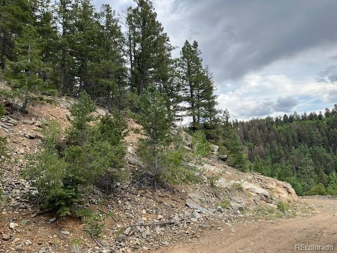 6184 Ryland Road San Luis, CO 81152 - Photo 4 of 32 a view of a forest with trees in the background