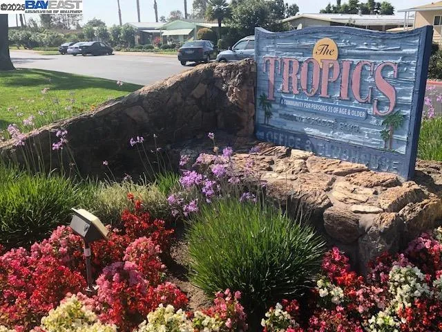 a front view of a house with yard