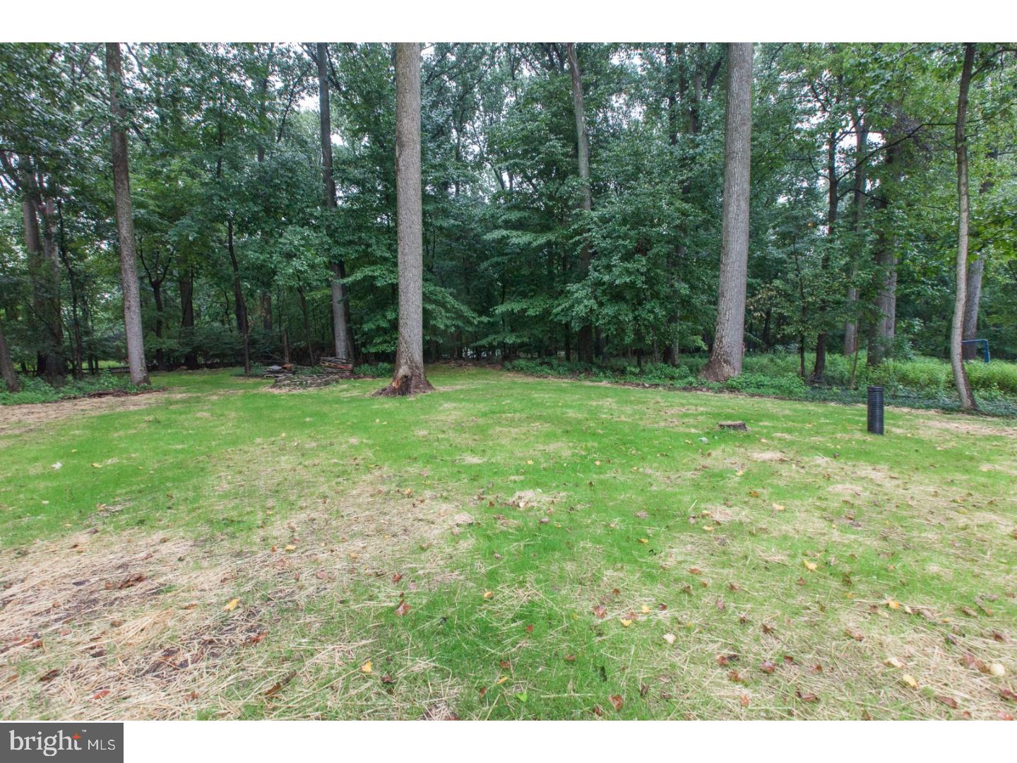 686 Knox Road Wayne, PA 19087 - Photo 25 of 25 Back Yard