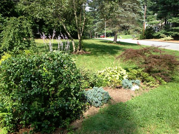57 Jarman Road Sudbury, MA 01776 - Photo 24 of 27 Gallery Image 24