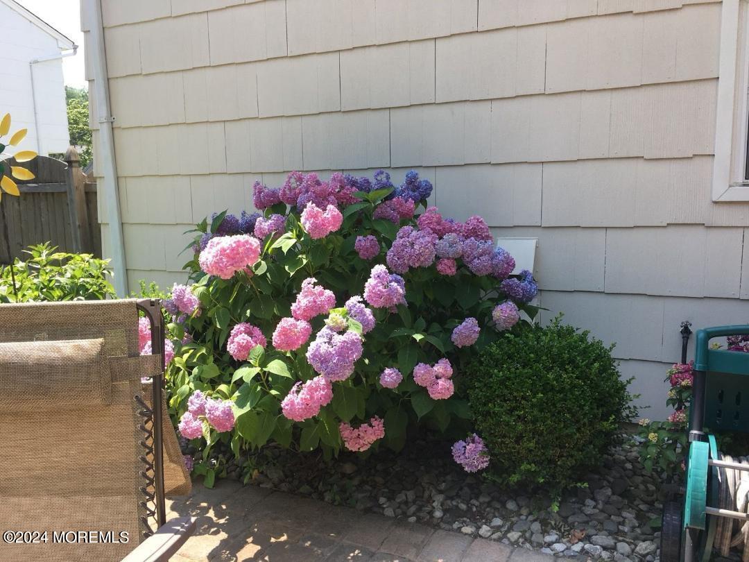 12 Bunkerhill Road Hazlet, NJ 07730 - Photo 23 of 27 a flower plants