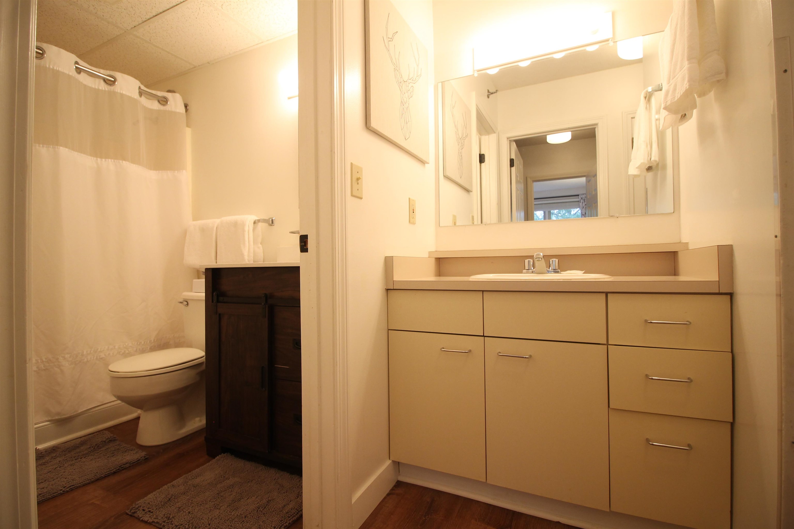 28 Packard's Road, Unit 408 Waterville Valley, NH 03215 - Photo 11 of 32