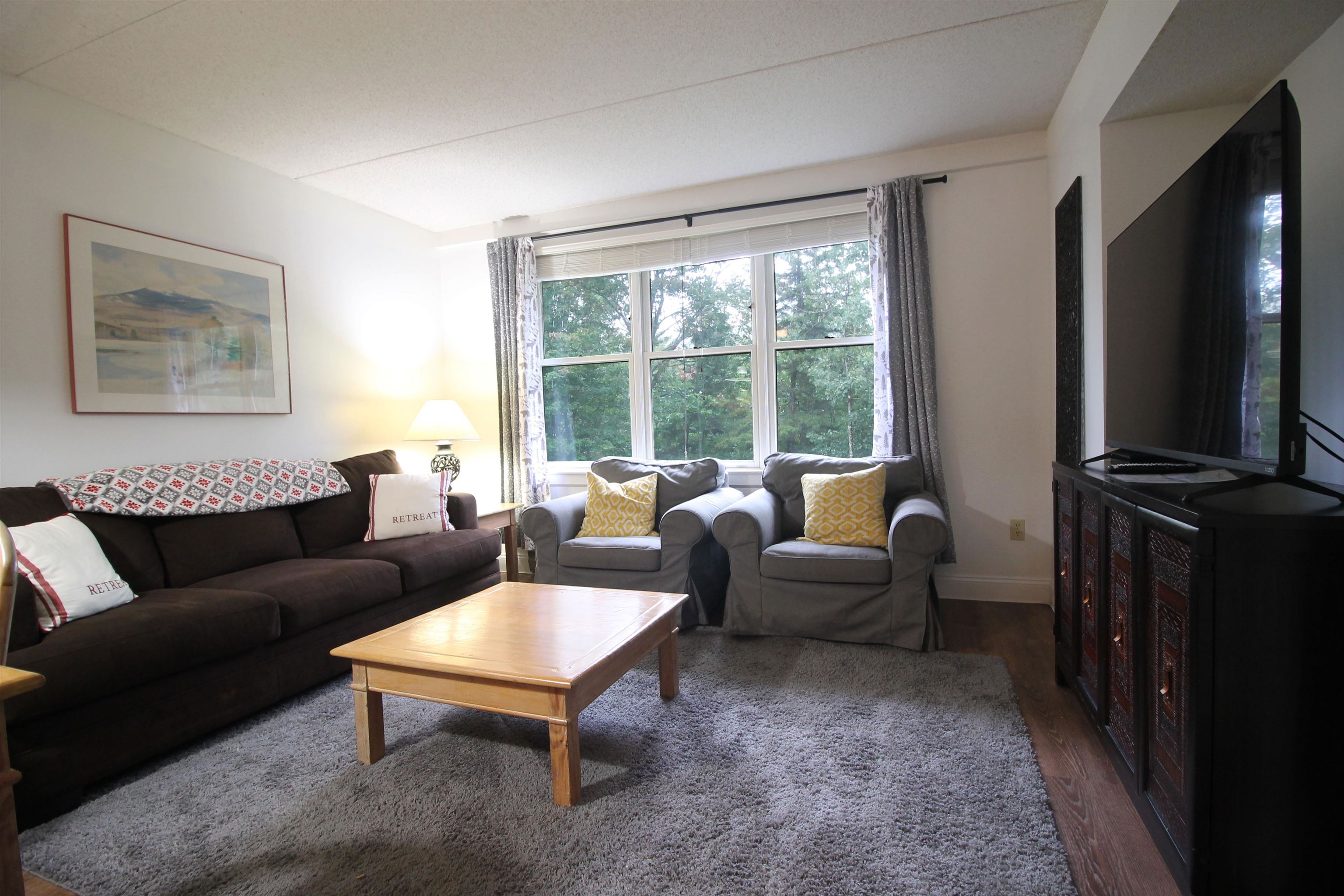 28 Packard's Road, Unit 408 Waterville Valley, NH 03215 - Photo 2 of 32