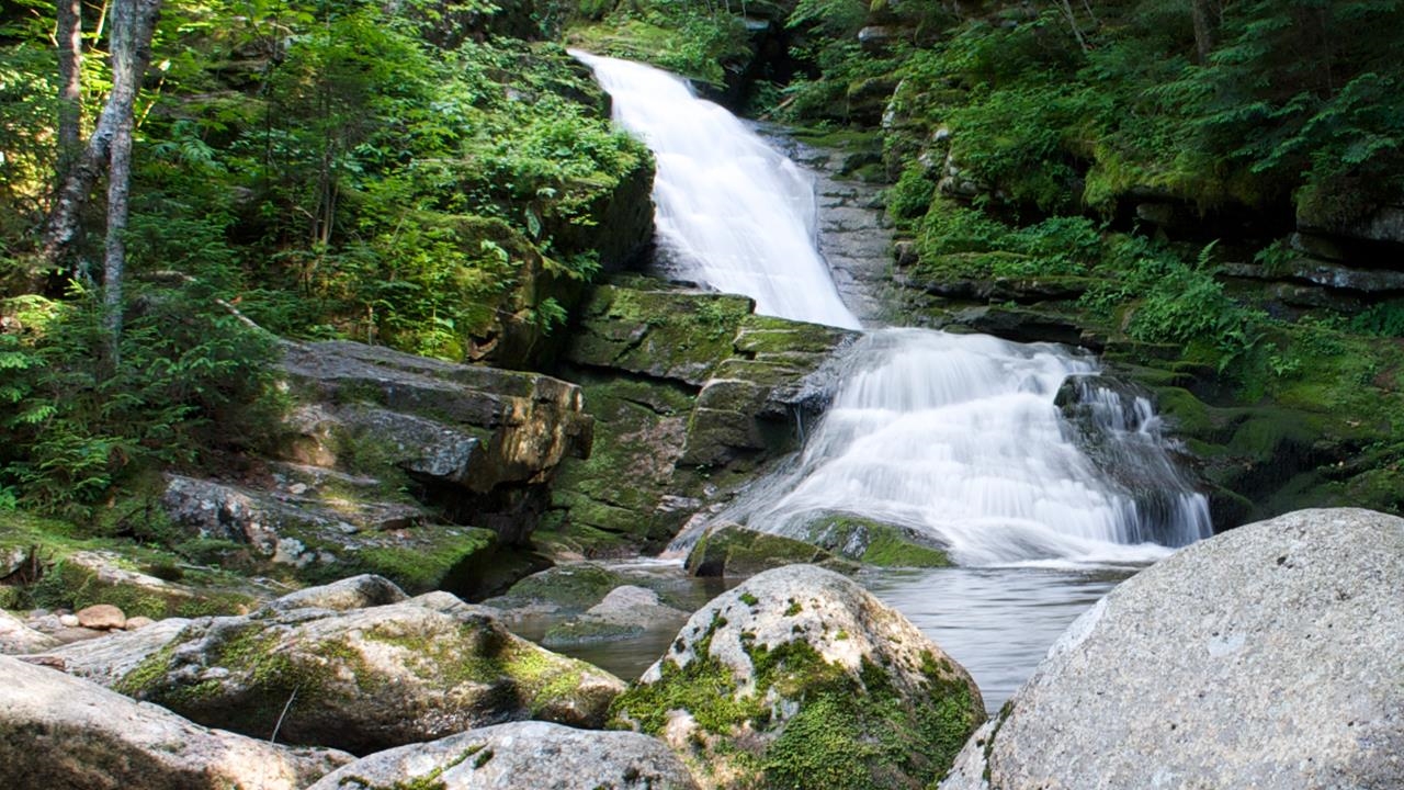 28 Packard's Road, Unit 408 Waterville Valley, NH 03215 - Photo 30 of 32