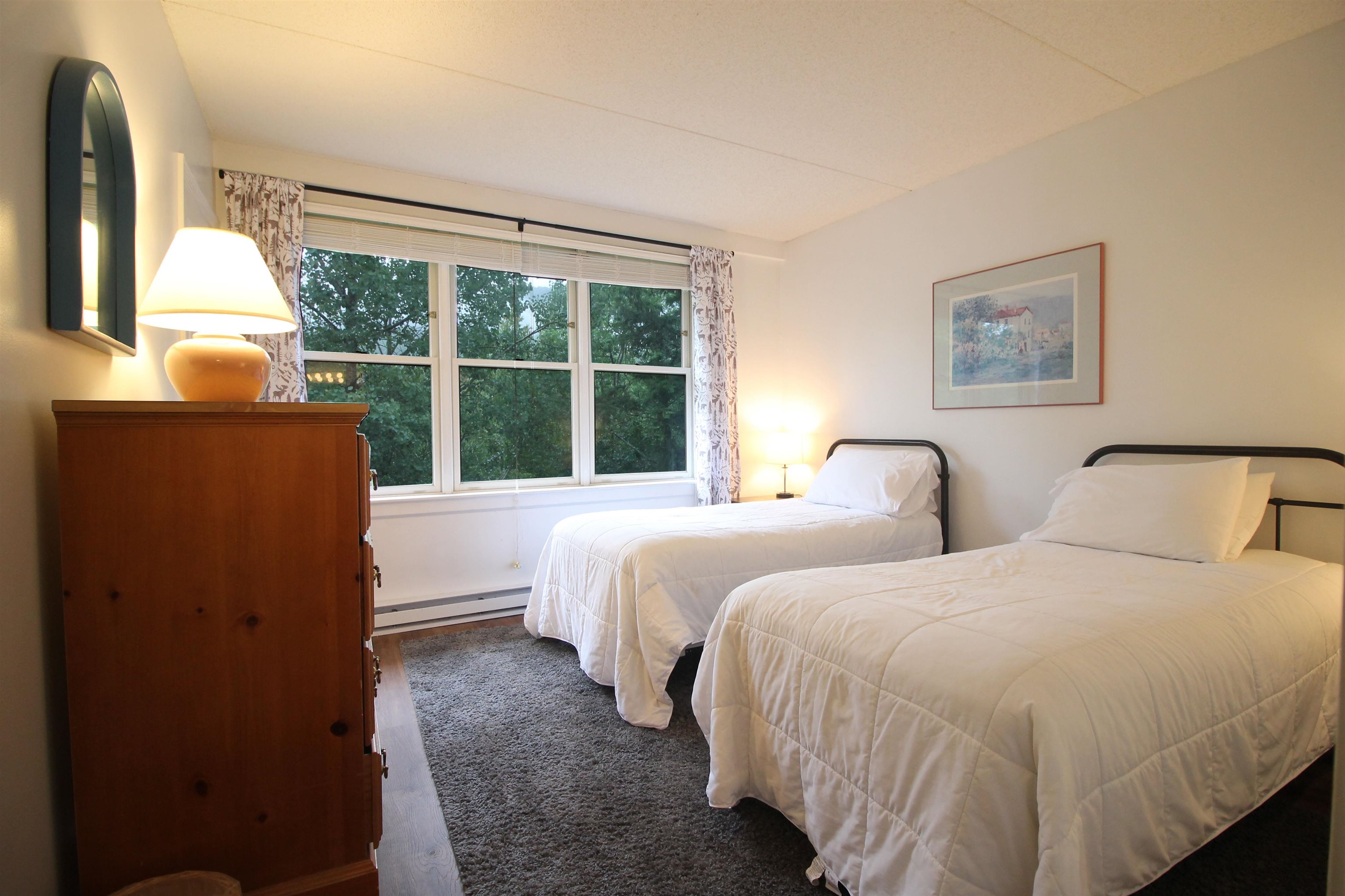 28 Packard's Road, Unit 408 Waterville Valley, NH 03215 - Photo 10 of 32