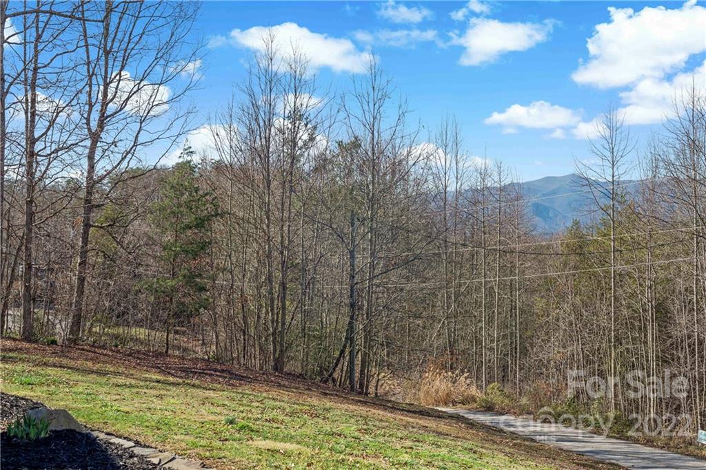 124 Maple Ridge Drive Old Fort, NC 28762 - Photo 6 of 46 Gallery Image 6