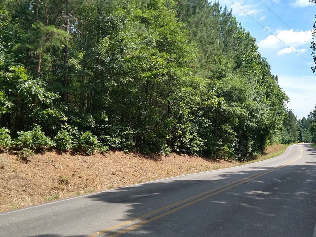 0 Trickum Road Rocky Face, GA 30740 - Photo 2 of 7