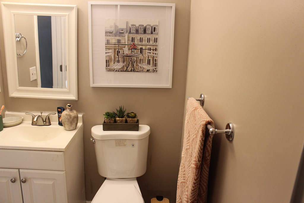 3710 Winkfield Place Columbus, GA 31909 - Photo 38 of 98 a bathroom with a toilet sink and mirror