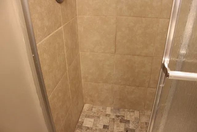 a bathroom with a shower and a toilet