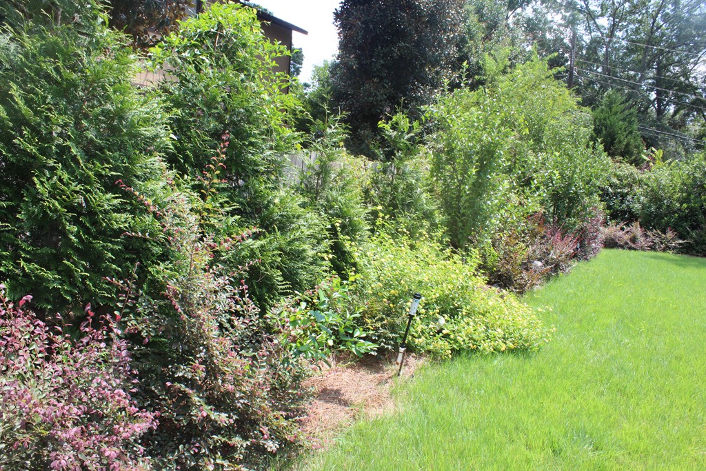 3710 Winkfield Place Columbus, GA 31909 - Photo 68 of 98 a view of a garden with a lake