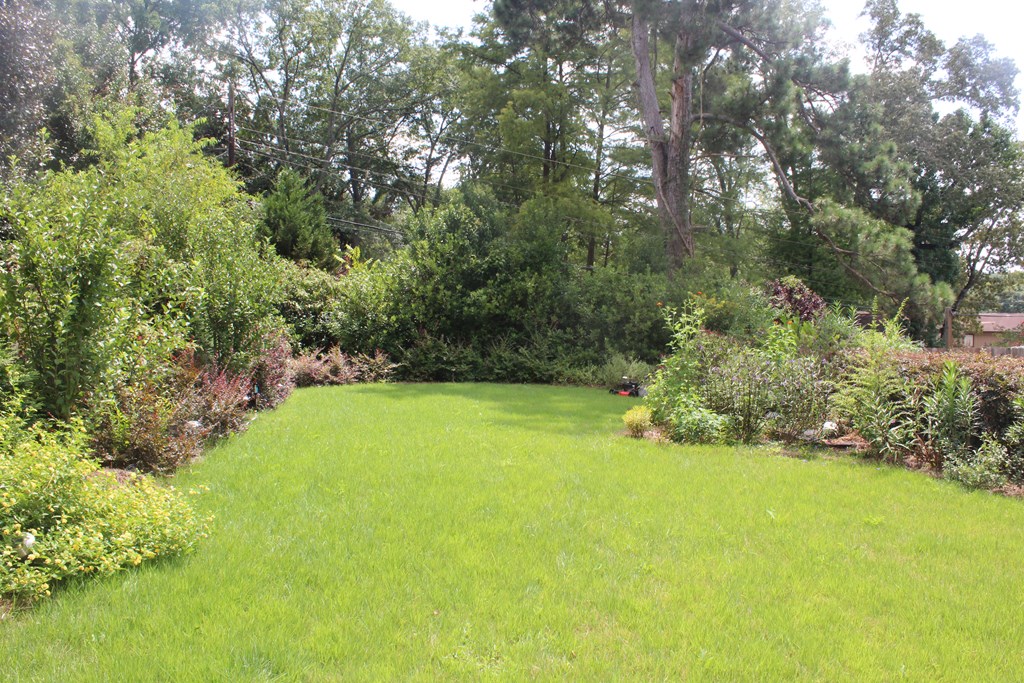 3710 Winkfield Place Columbus, GA 31909 - Photo 78 of 98 a view of a yard with a tree