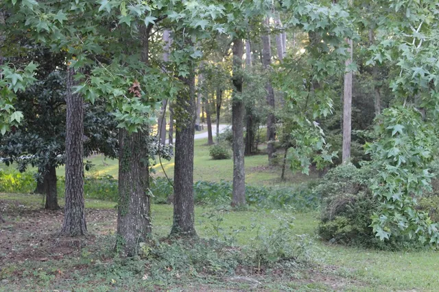 $479,000 | 3710 Winkfield Place, Columbus, GA 31909