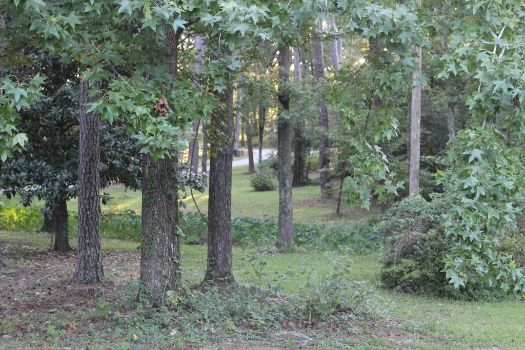 3710 Winkfield Place Columbus, GA 31909 - Photo 96 of 98