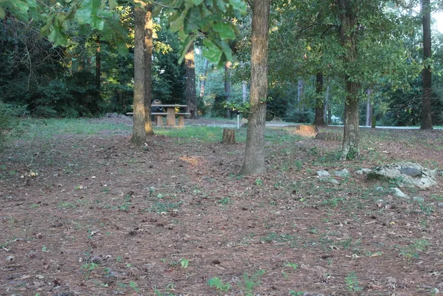 $479,000 | 3710 Winkfield Place, Columbus, GA 31909