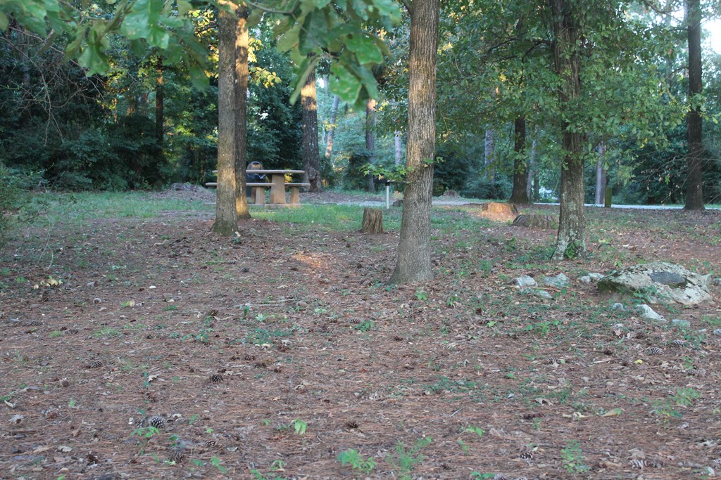 3710 Winkfield Place Columbus, GA 31909 - Photo 97 of 98 a view of a yard with trees