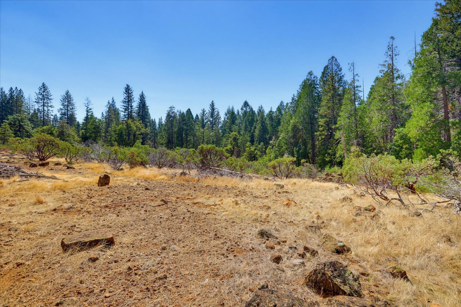 14696 Oak Ridge Road Nevada City, CA 95959 - Photo 87 of 99 Gallery Image 87