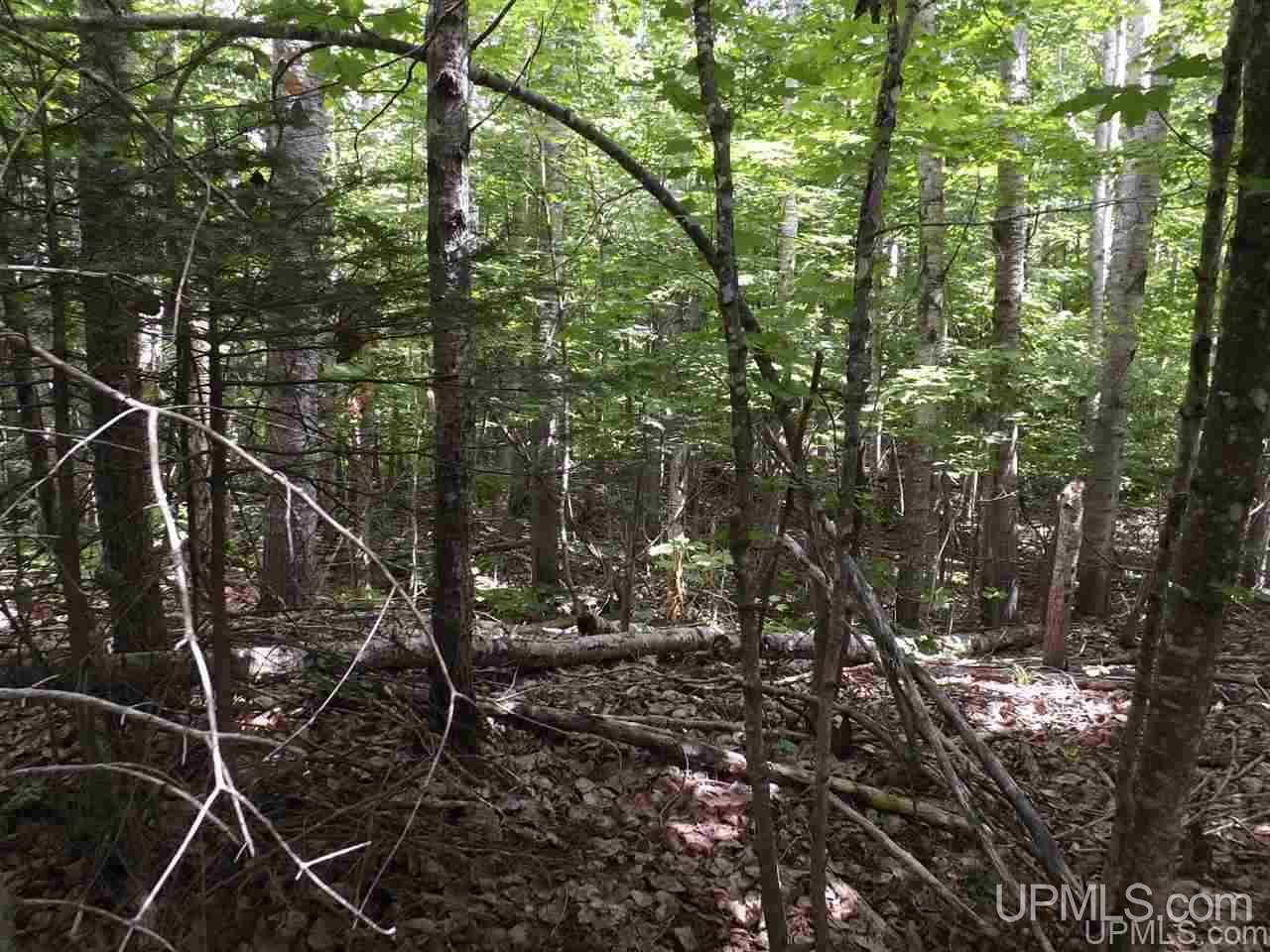 Tbd South Olson Lake Road Michigamme, MI 49861 - Photo 16 of 25