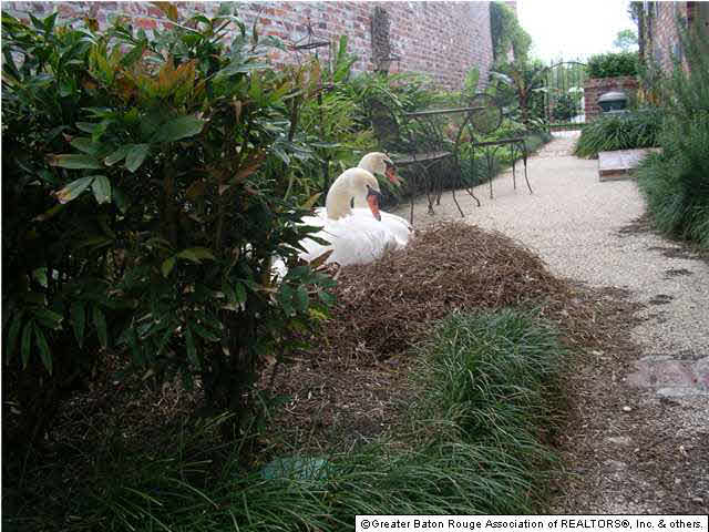 594 Rue D Orleans Baton Rouge, LA 70810 - Photo 7 of 7 Gallery Image 7