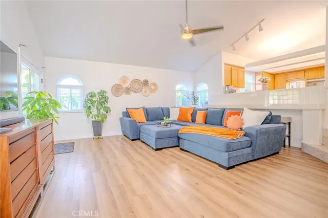 a living room with furniture and a potted plant