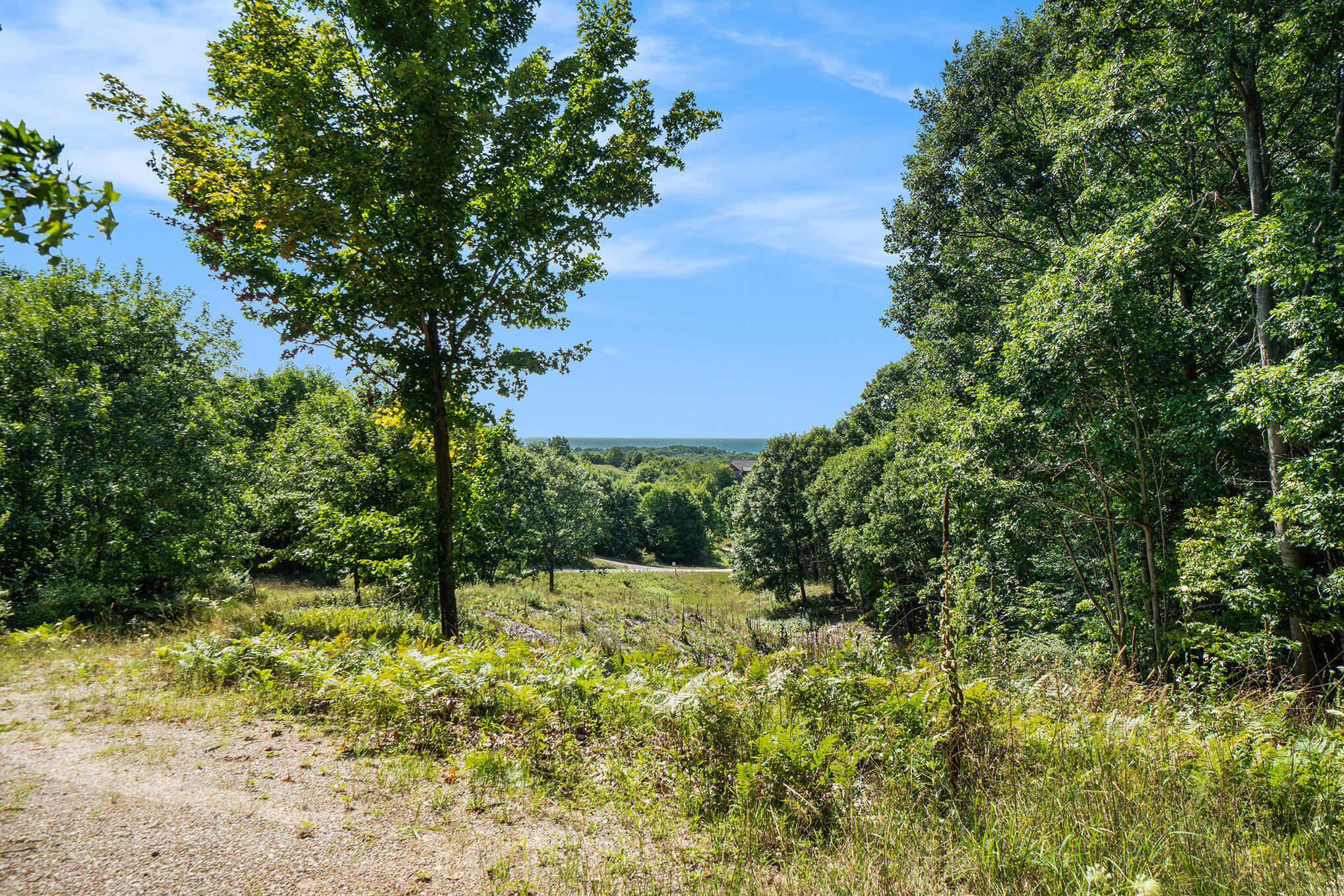 Parcel I Norman Road Arcadia, MI 49613 - Photo 3 of 26 Additional Photo