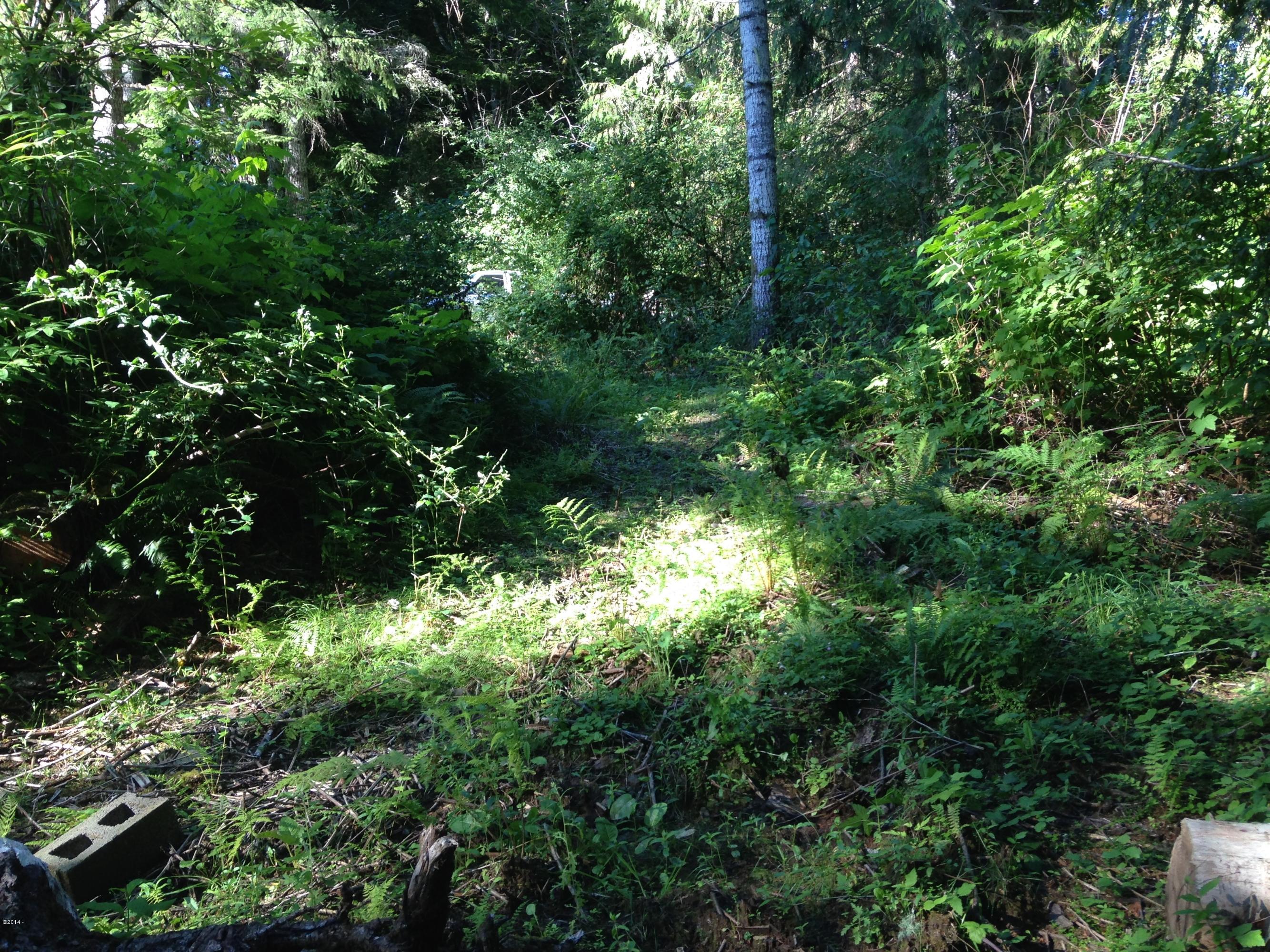 102 North Timber Road Otis, OR 97368 - Photo 1 of 5 Room for an RV