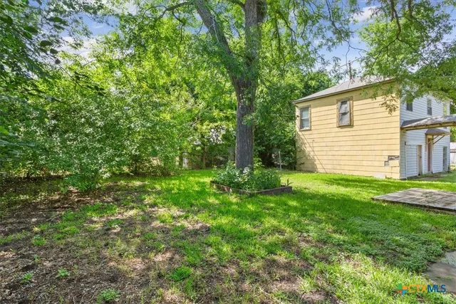 a view of a backyard with plants and large tree