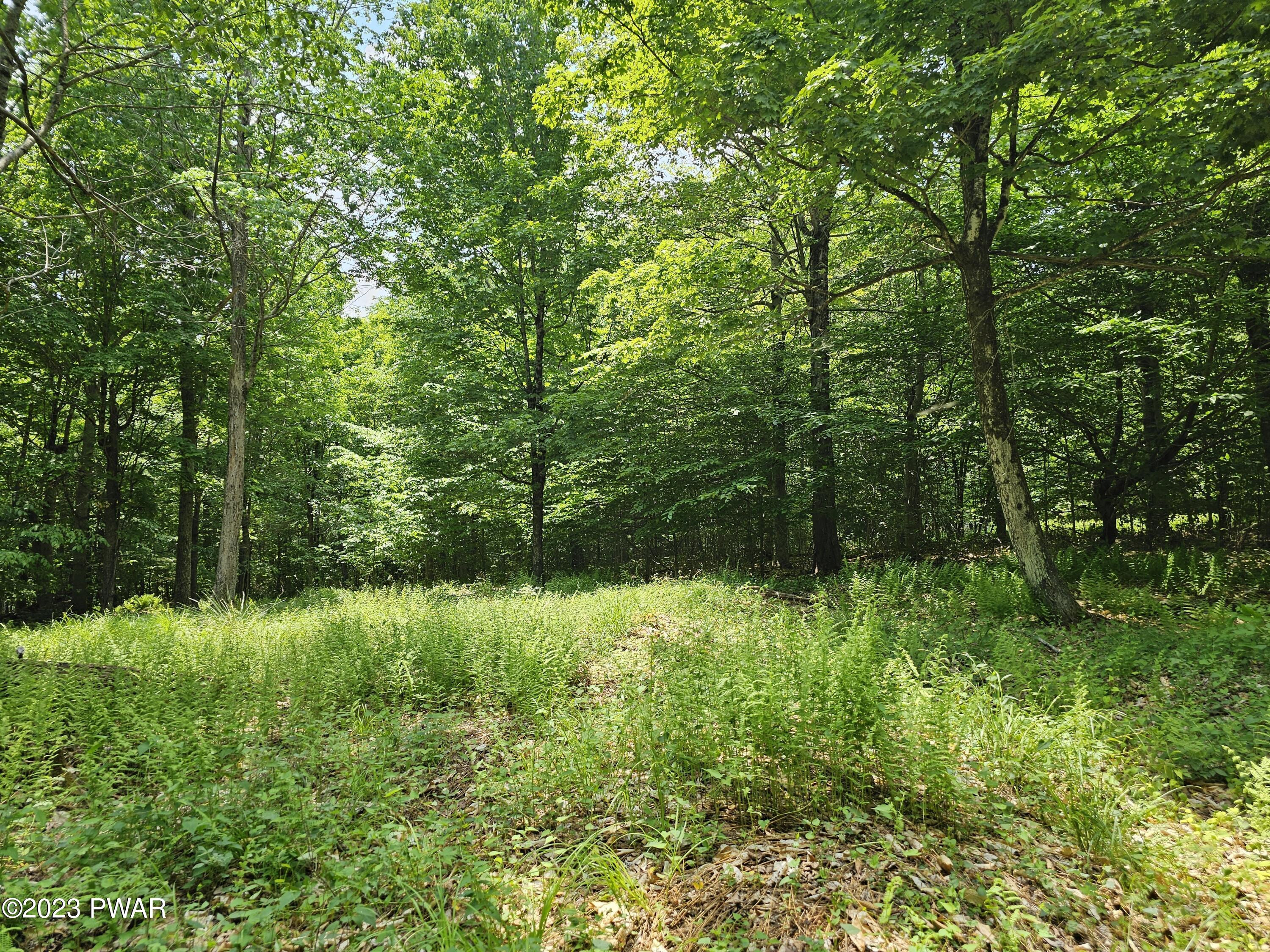 Lot 69 Stonegate Road Equinunk, PA 18417 - Photo 6 of 29