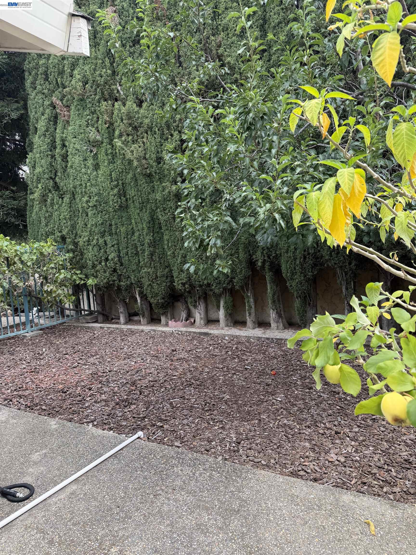 3885 Aragon Lane San Ramon, CA 94583 - Photo 15 of 18