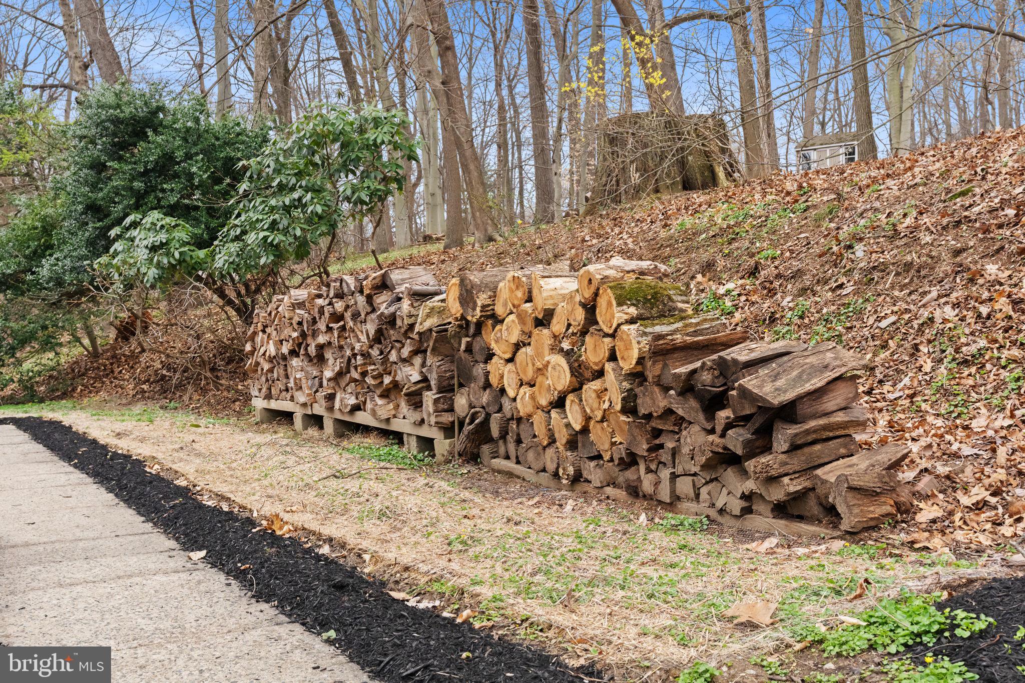 971 Stevens Lane Wayne, PA 19087 - Photo 6 of 66 a view of a backyard of the house