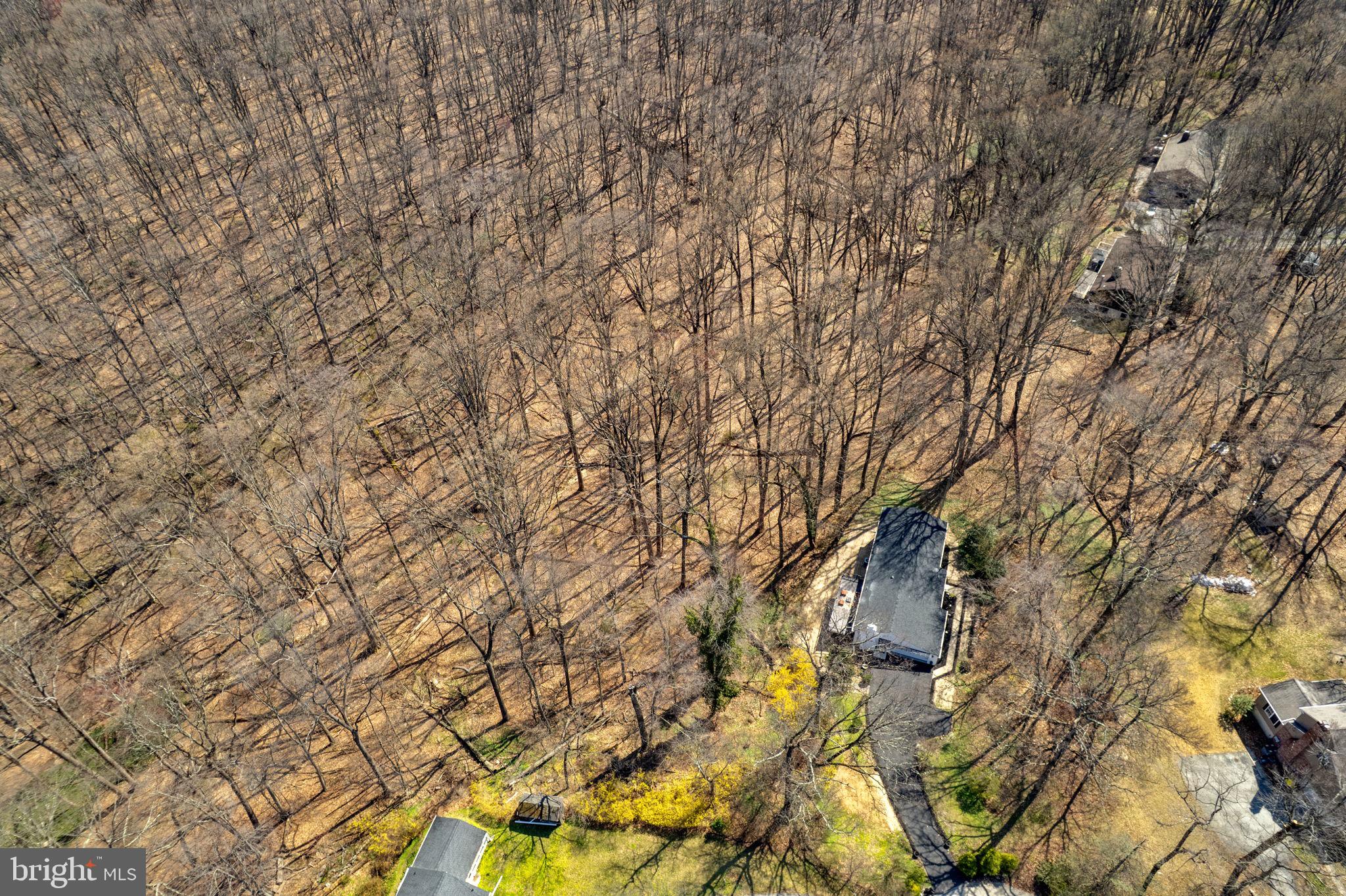 971 Stevens Lane Wayne, PA 19087 - Photo 61 of 66 a picture of tree