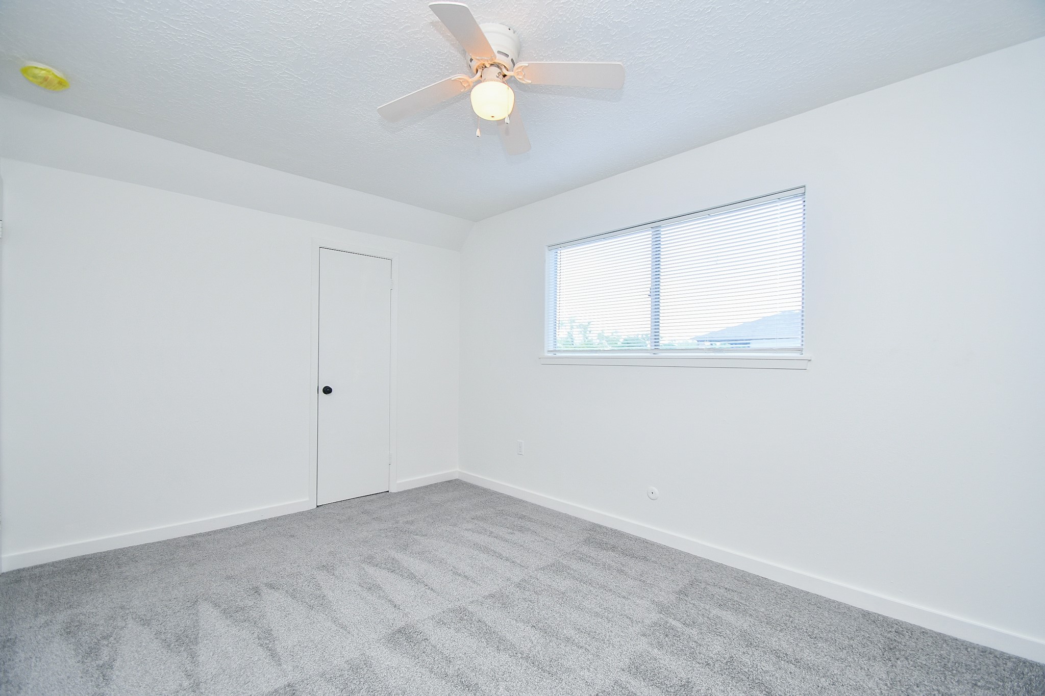 2636 Lone Oak Road Houston, TX 77093 - Photo 31 of 42