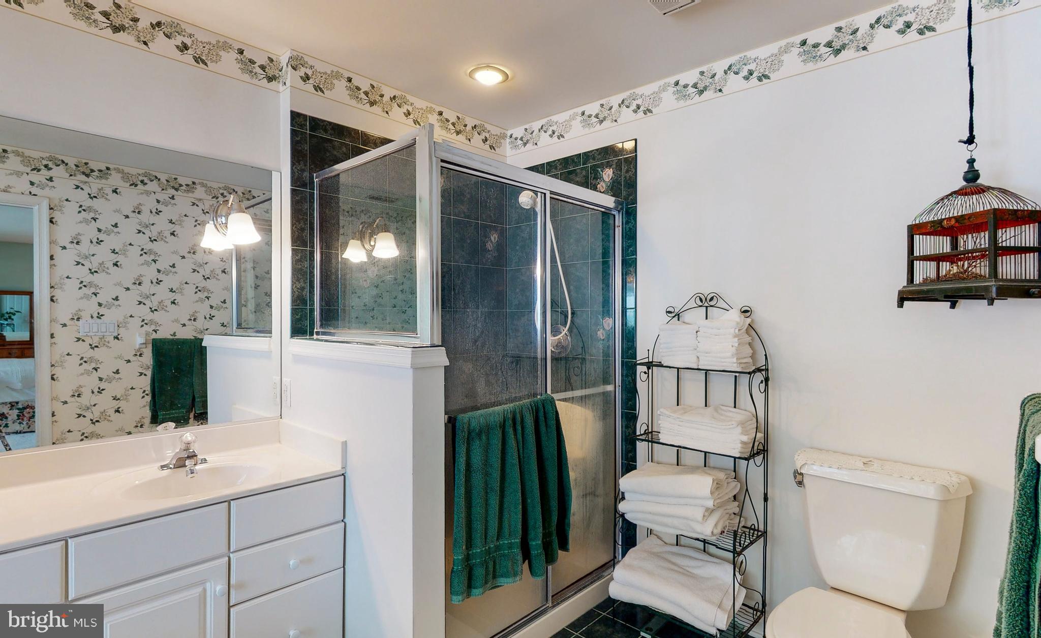 7224 Greenbank Road Baltimore, MD 21220 - Photo 32 of 54 Owner En-Suite