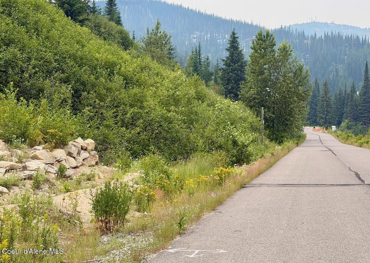 Lot 11 Avalanche Road Sandpoint, ID 83864 - Photo 4 of 50 Gentle Graded Lot