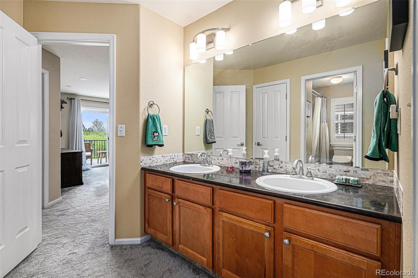 10963 Timber Ridge Lane Highlands Ranch, CO 80130 - Photo 23 of 38 Gallery Image 23