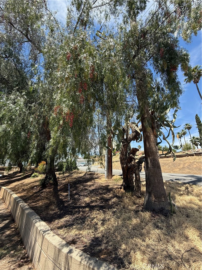 2390 Prenda Avenue Riverside, CA 92504 - Photo 39 of 41 a view of tree