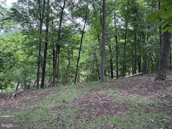$34,900 | Lot 24 Cornwell Drive, Romney, WV 26757