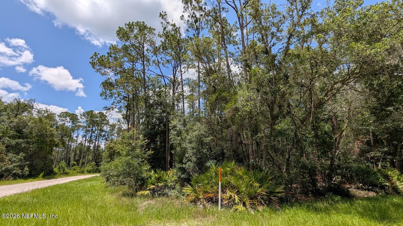 301 Whispering Pines Road Georgetown, FL 32139 - Photo 1 of 12 1 Corner of lot