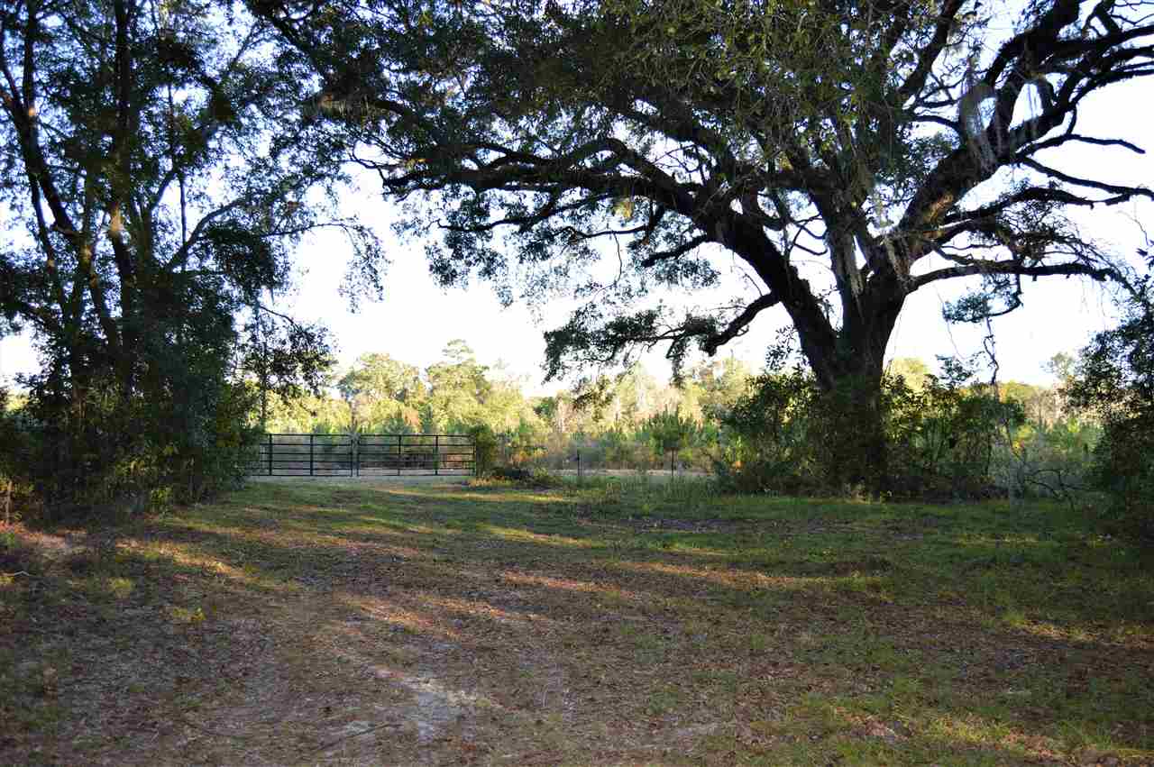 1955 Bell Road Havana, FL 32333 - Photo 4 of 7 Gallery Image 4