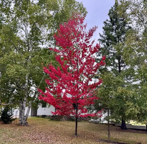 $399,000 | 20853 185th Avenue, Park Rapids, MN 56470