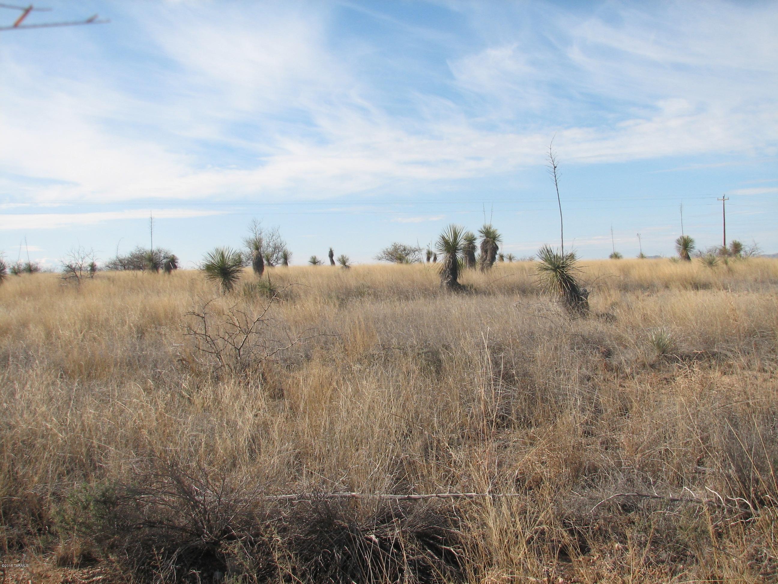 North Warren Road Benson, AZ 85602 - Photo 2 of 3