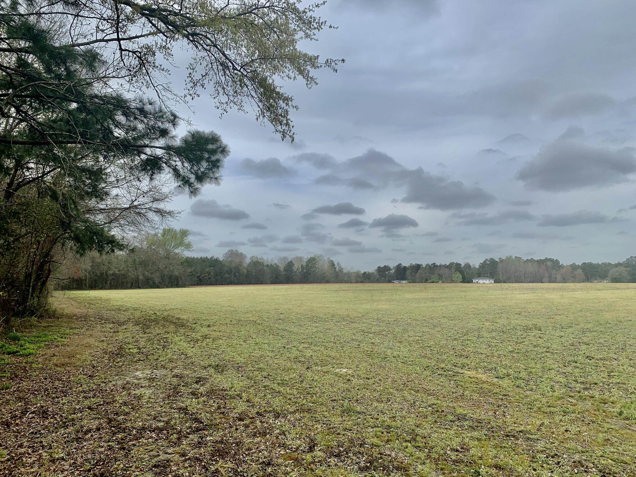 906 2nd Bend Road Harleyville, SC 29448 - Photo 8 of 11 E0C73F29-9C4C-4C5C-AEDF-AF1384F3508F