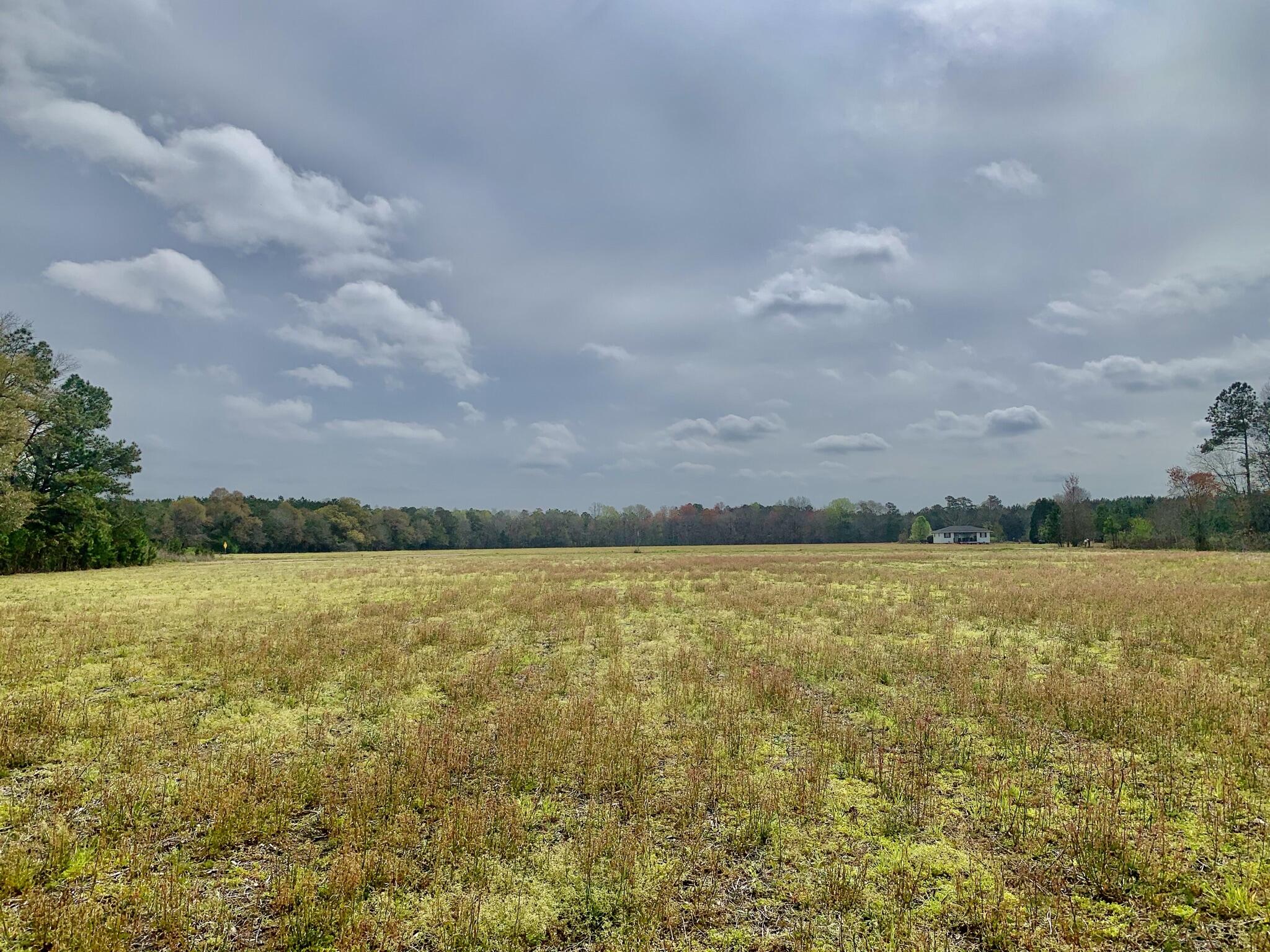 906 2nd Bend Road Harleyville, SC 29448 - Photo 9 of 11 6F8BD230-38BD-4245-A3B5-2B28C5F9B3BF