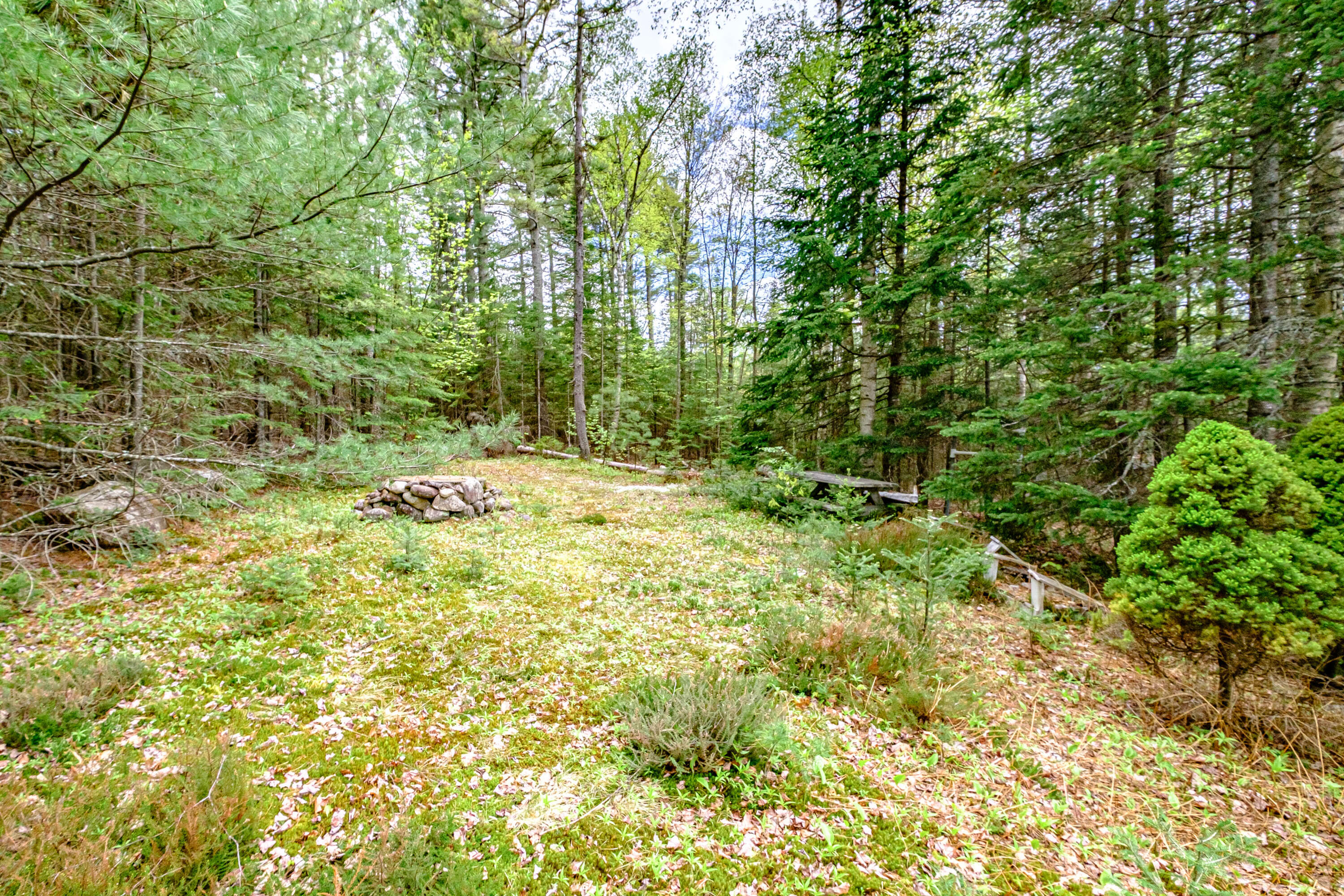 180 Chestnut Knoll Road Bethel, ME 04217 - Photo 65 of 73 20220517gp-62065