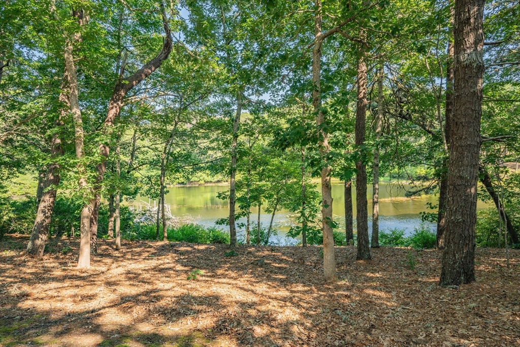 290 Old Comers Road Chatham, MA 02633 - Photo 30 of 40 a view of a trees with a tree