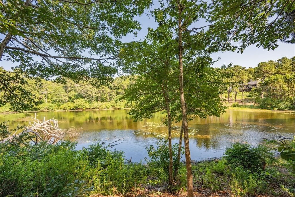 290 Old Comers Road Chatham, MA 02633 - Photo 32 of 40 a view of lake
