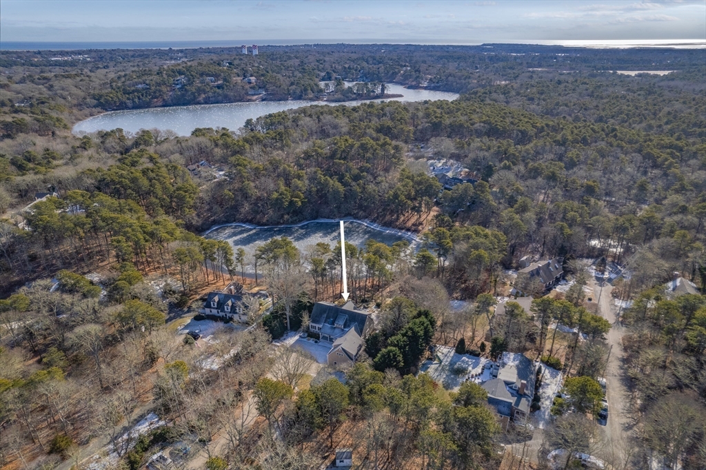 290 Old Comers Road Chatham, MA 02633 - Photo 36 of 40 a view of a forest with a yard